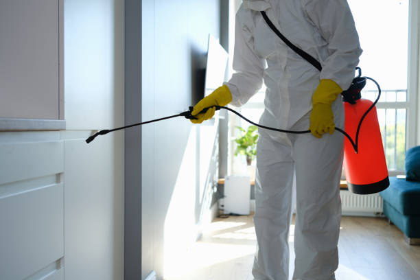Best Insurance-Related Mold Remediation in Cayuga, IN